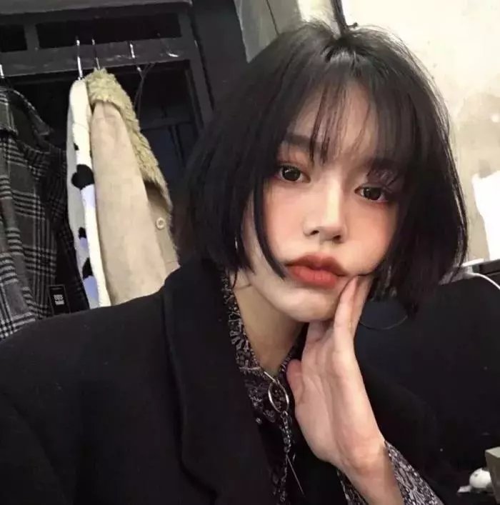 老柿子树